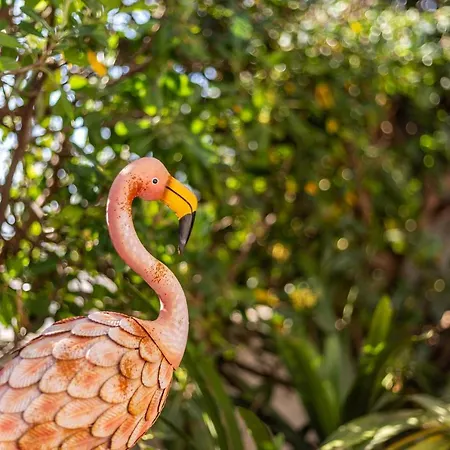 Londres 30 波连斯萨