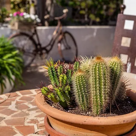 Lägenhet Londres 30 *